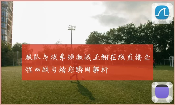 狼队与埃弗顿激战正酣在线直播全程回顾与精彩瞬间解析