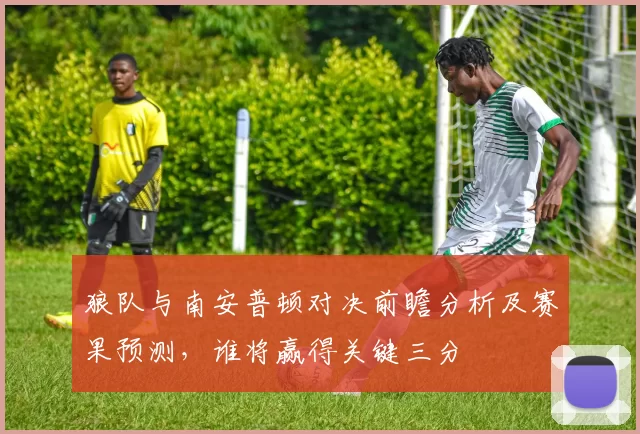 狼队与南安普顿对决前瞻分析及赛果预测，谁将赢得关键三分