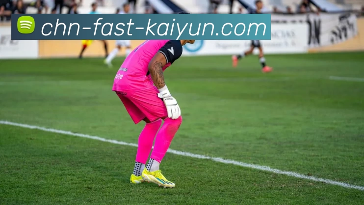 kaiyun.comAPP 封面图